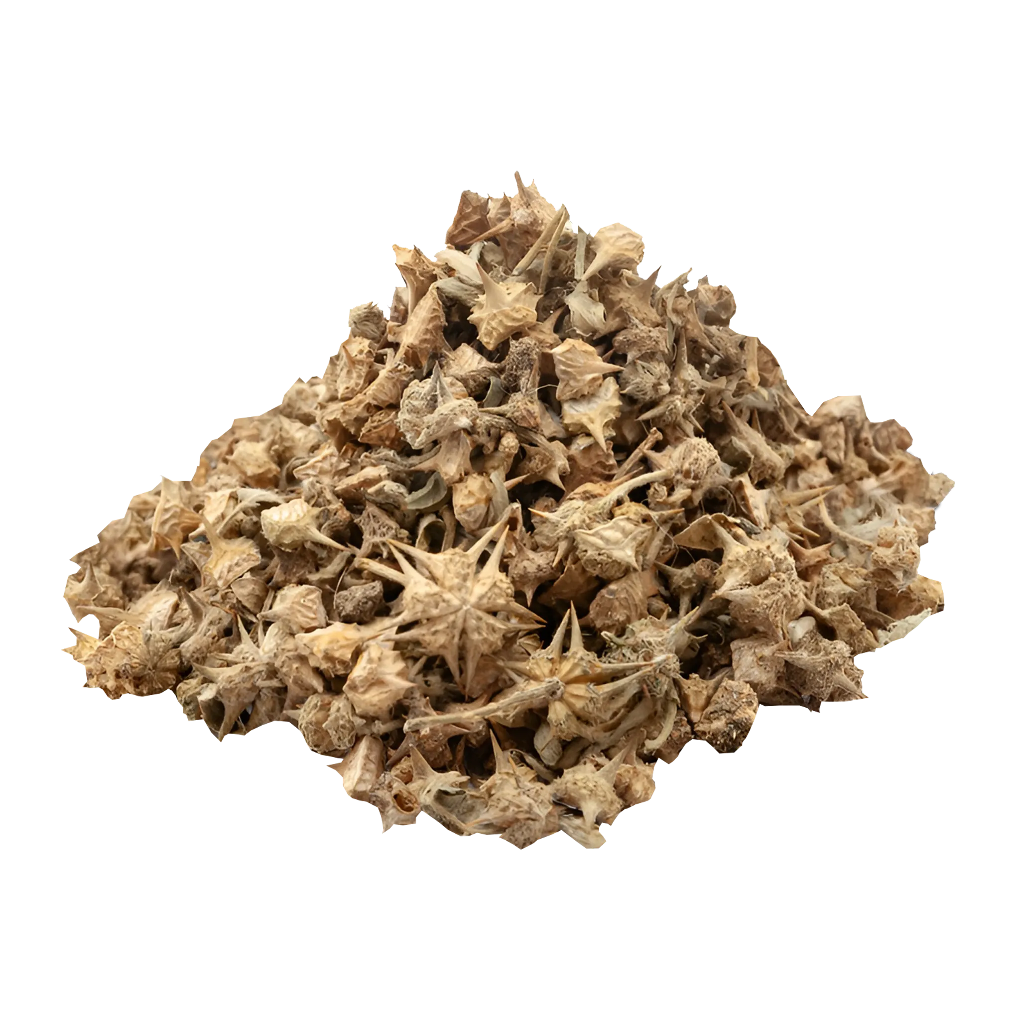 Chhota Gokharu [Tribulus Terrestris]