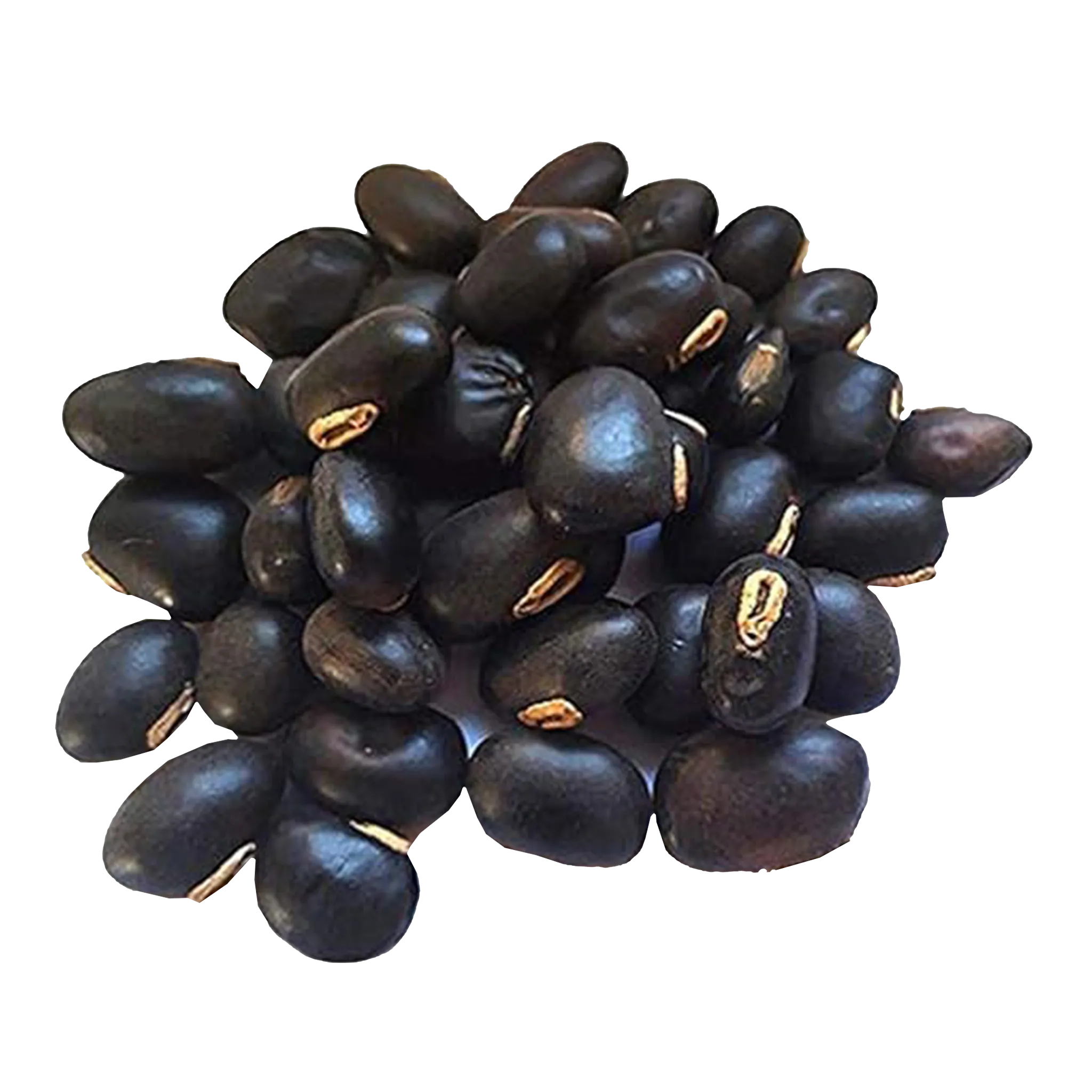 Kaunch Beej [Mucuna Pruriens]